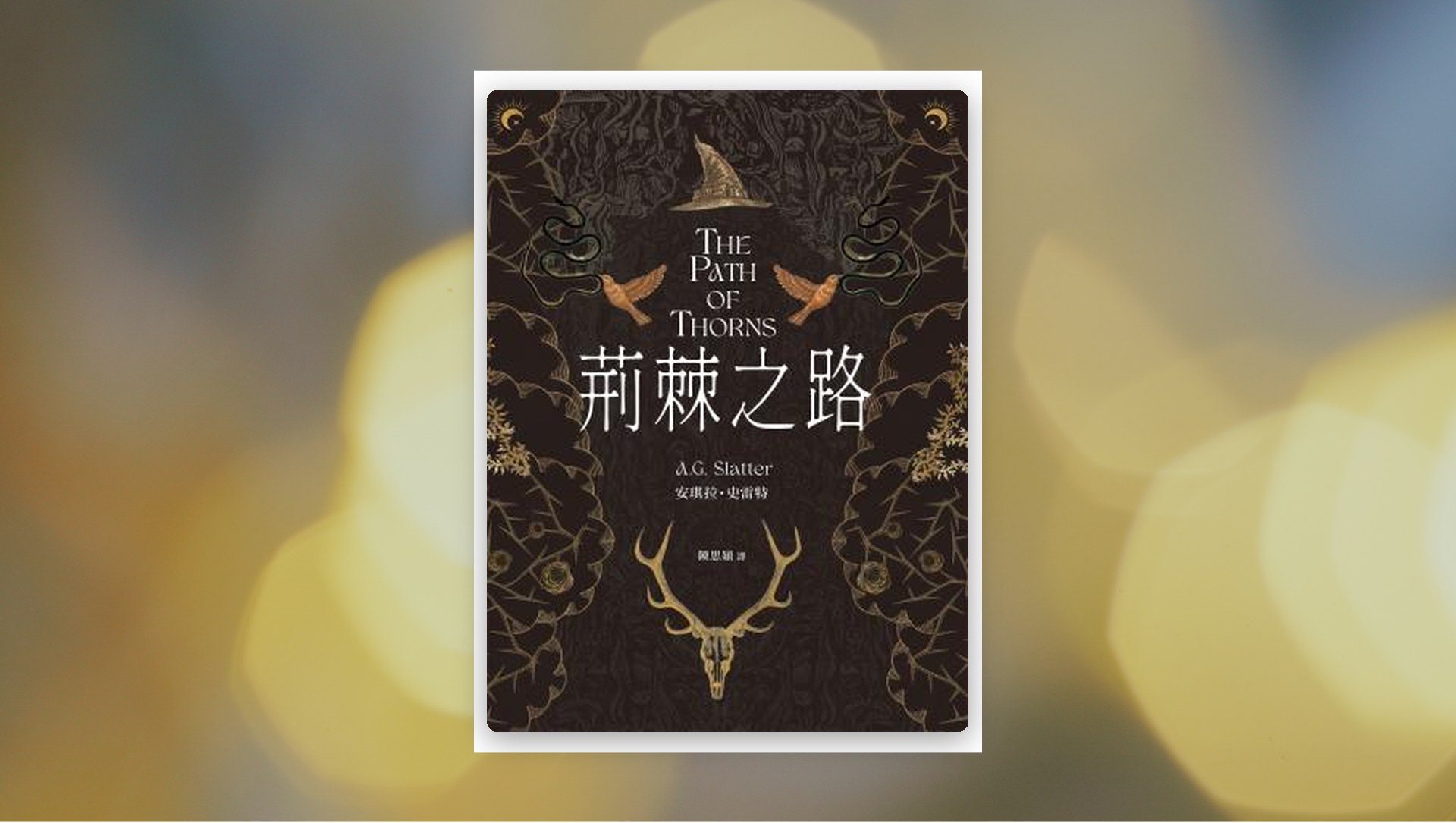 荊棘之路【澳洲「南極光獎」得獎作!獲獎無數的澳洲奇幻小說家首部來台著作】 新書推薦